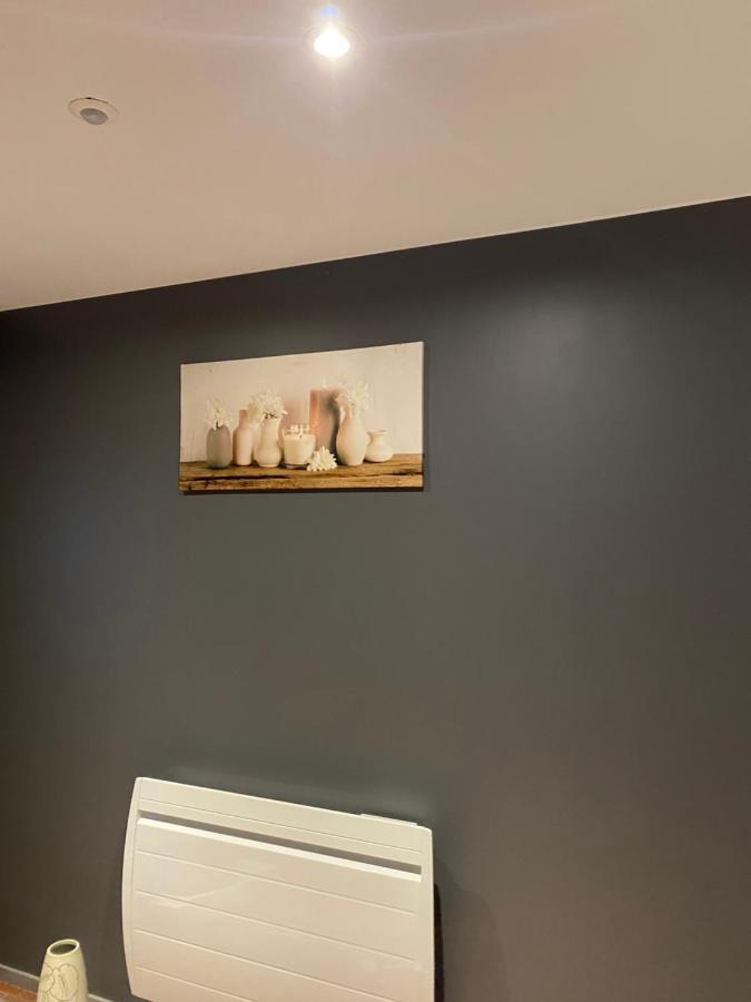 Les Petites Plumes D'Hag Apartamento Haguenau Exterior foto